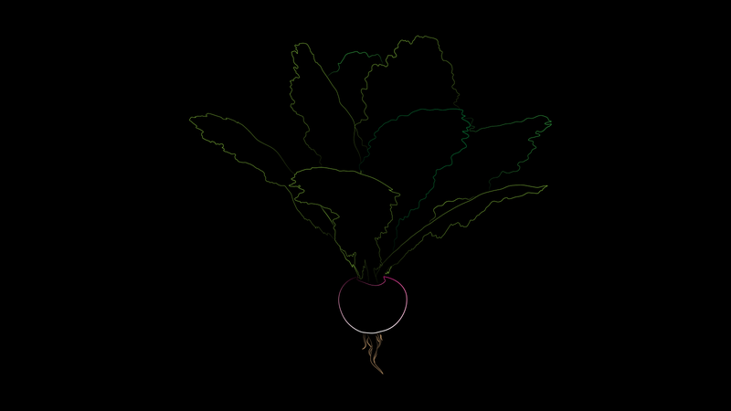 Illustration for article titled I Made Even More Things for Fellow Oppos